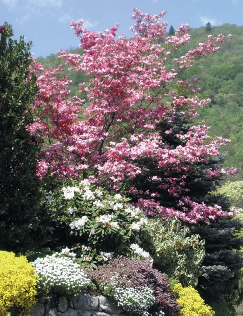 I climatizzatori Daikin ad uso residenziale accendono la primavera in qualsiasi ambiente, per tutto l anno e in ogni momento della giornata.