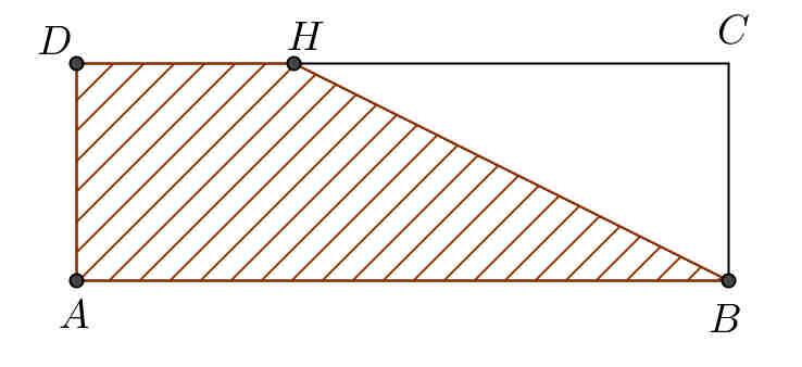 Nel trapezio isoscele ABCD AB DC e il perimetro risulta cm. Sapendo inoltre che il lato obliquo misura cm, determina l area. [ 80 cm ] Nel rombo ABCD BD-AC cm e BD AC.