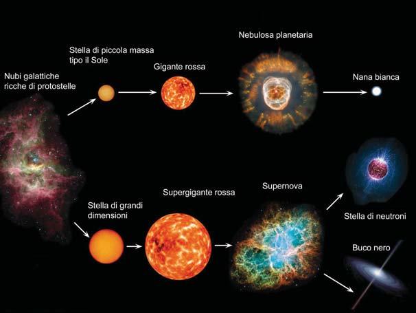 terrestri e lo sviluppo della vita sulla sua superfi cie Una stella nasce per contrazione gravitazionale di una nebulosa formata da gas e polveri.