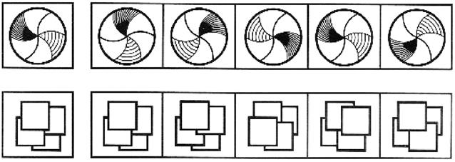 La valutazione delle abilità visive e spaziali 11 Il Test di percezione visiva e integrazione visuo-motoria (TPV; Hammill, Pearson e Voress, 1994) è il riadattamento del test di sviluppo percettivo