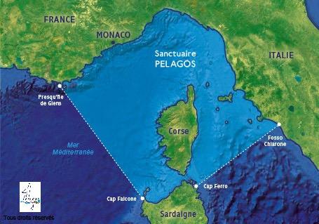 1. Presentazione dell Accordo Pelagos L Accordo Pelagos è stato firmato a Roma il 25 novembre 1999 dalla Francia, dall Italia e dal Principato di Monaco ed è entrato in vigore il 21 febbraio 2002 per