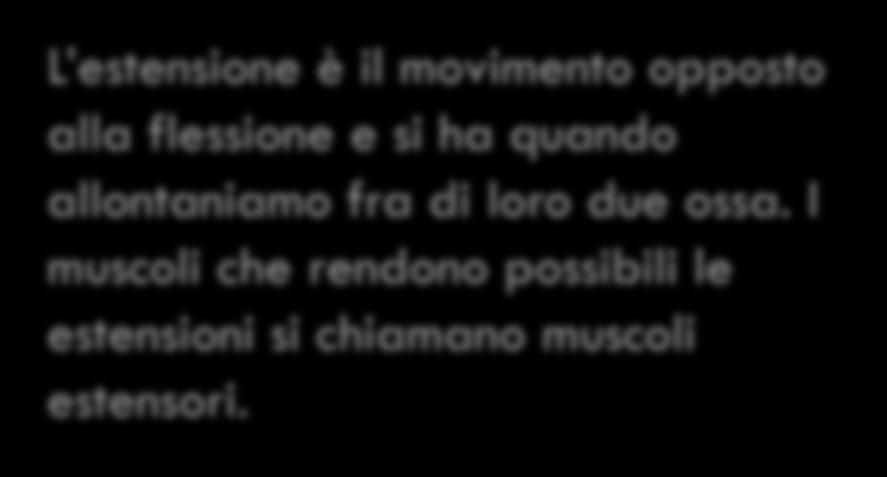 I muscoli che rendono possibile le flessioni si chiamano muscoli flessori.