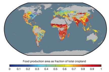 Fig.5: Competizione per il cibo: percentuale di allocazione delle terre agricole per la produzione alimentare (Foley et al, 2011) Bibliografia Foley, J. A., Ramankutty, N., Brauman, K. A., Cassidy, E.