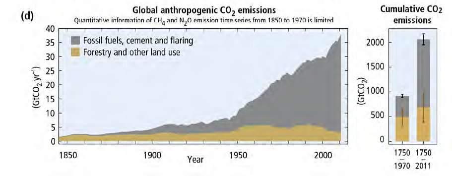 (1750-2011): 2040 GtCO 2 Circa metà di queste emissioni