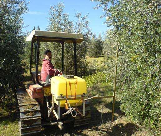 TESI PRODOTTO DOSAGGI DATE INTERVENTI 1 Dimetoato 2 L/ha 30