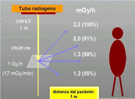 di dose con la