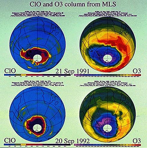 La diminuzione dell ozono: un problema globale Vedi anche i siti