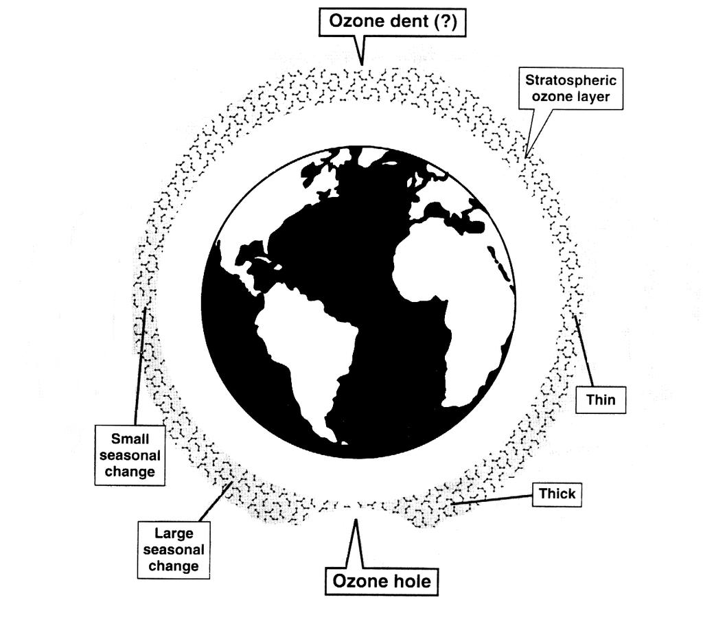 La distribuzione dell ozono in atmosfera: la latitudine Concentrazioni