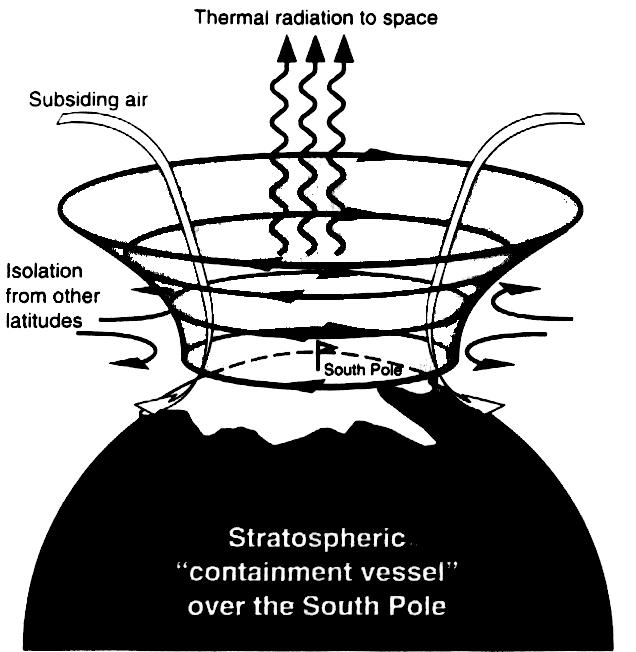 Il vortice polare Fattore ambientale