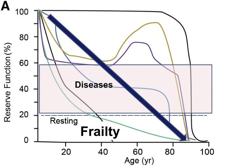 Fig. 6 Aumentata fragilità e ridotta soglia per lo sviluppo di malattie con l età