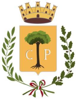 COMUNE DI COPERTINO PROVINCIA DI LECCE AREA PIANIFICAZIONE DEL TERRITORIO E OPERE PUBBLICHE PROCEDURA