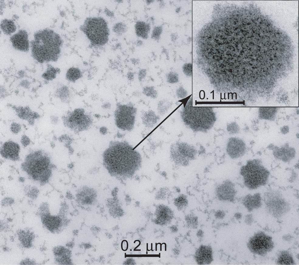 Micella di caseina 368 P.X. Qi Dalgleish e Corredig, 2012 (a) H.M. Farrell Jr. et al.