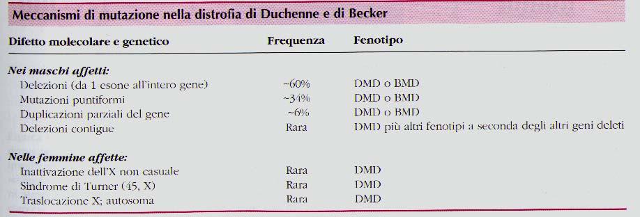 Meccanismi di mutazione Gene