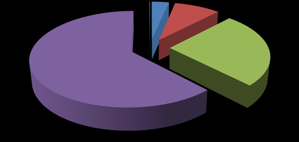 PORTAFOGLIO AZIONARIO Diversificazione Riferimento Importo % / port. Azioni USA large cap blend 1.546.667,50 66,28% Europa large cap blend 259.815,50 11,13% Geografica Japan large cap 336.