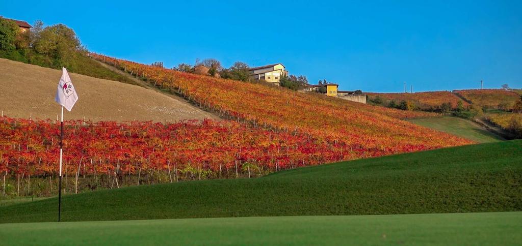 d. Golf Réva Vino& dispone di un campo da golf unico nel suo genere Due ettari in erba naturale che si snodano fra ondulate colline, boschi e filari.