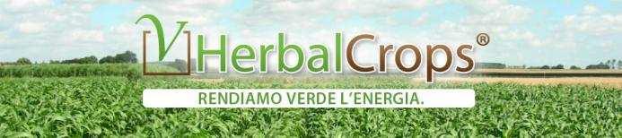 Innovazione EcoVal - Biomassa Herbal Crops EcoVal ha sviluppato e promosso un sistema integrato di filiera per la produzione di biomassa solida denominato Energy&Profit, il modello di filiera basa le