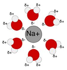 L intensità inoltre dipende dalla costante dielettrica del mezzo, ed è minore in solvent polari rispetto ai solvent non polari. I composti ionici quali il NaCl si sciolgono rapidamente in acqua.