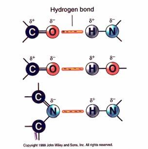 ossigeno o di azoto che fornisce la coppia di elettroni.