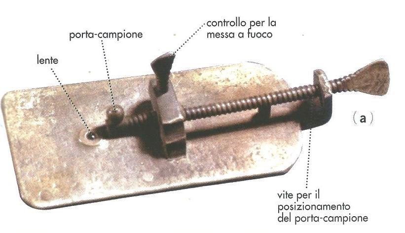 Come si è arrivati alla formulazione della teoria cellulare?