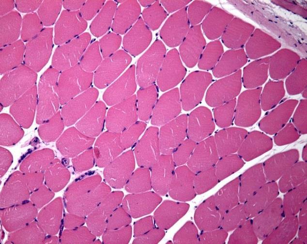 La cellula è l unità base della struttura di tutti gli organismi (ovvero è l unità fondamentale della vita) 2.