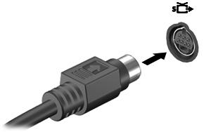 Jack di uscita S-Video Il jack di uscita S-Video a 7 pin consente di collegare il computer a una periferica S-Video opzionale, come un televisore, un videoregistratore, una videocamera, una lavagna