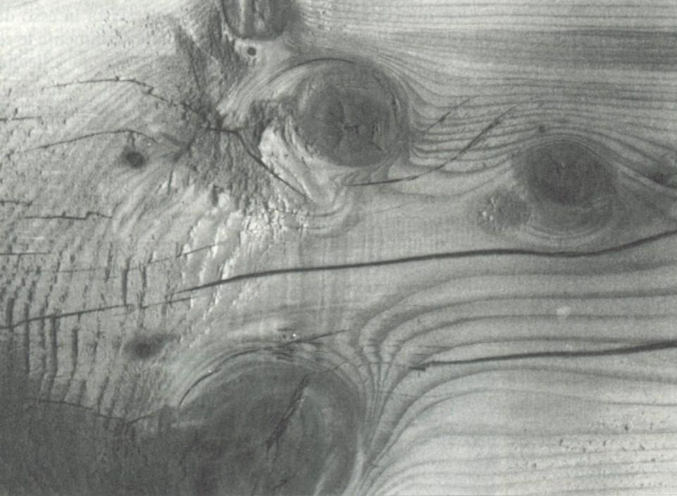 Difetti e alterazioni: la fessurazione da ritiro Le fessurazioni da ritiro sono l espressione della caratteristica anisotropica dei ritiri del legno quando nel pezzo è presente il midollo.