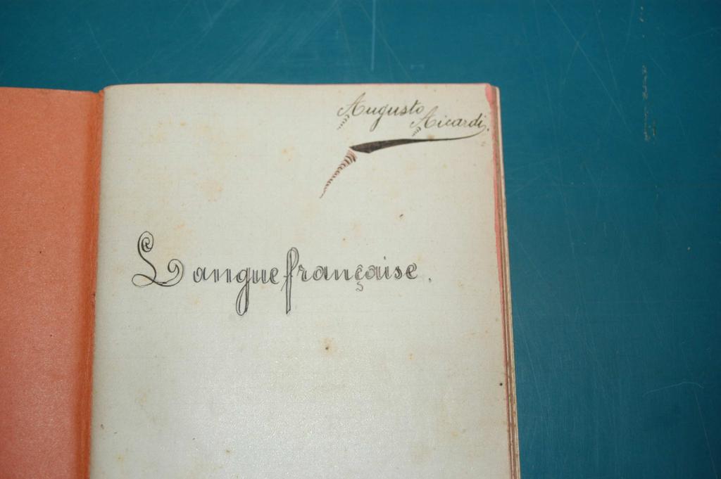 quinta tesi d esame. N di pagine: 74; 4 non usate. Carta, 16x11 cm. 1899-1900.