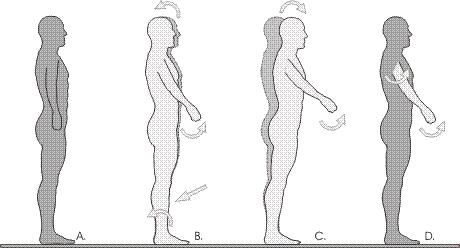 Anticipatory Postural Adjustments APAs sono contrazioni dei muscoli posturali generate 50-150 ms prima di compiere un