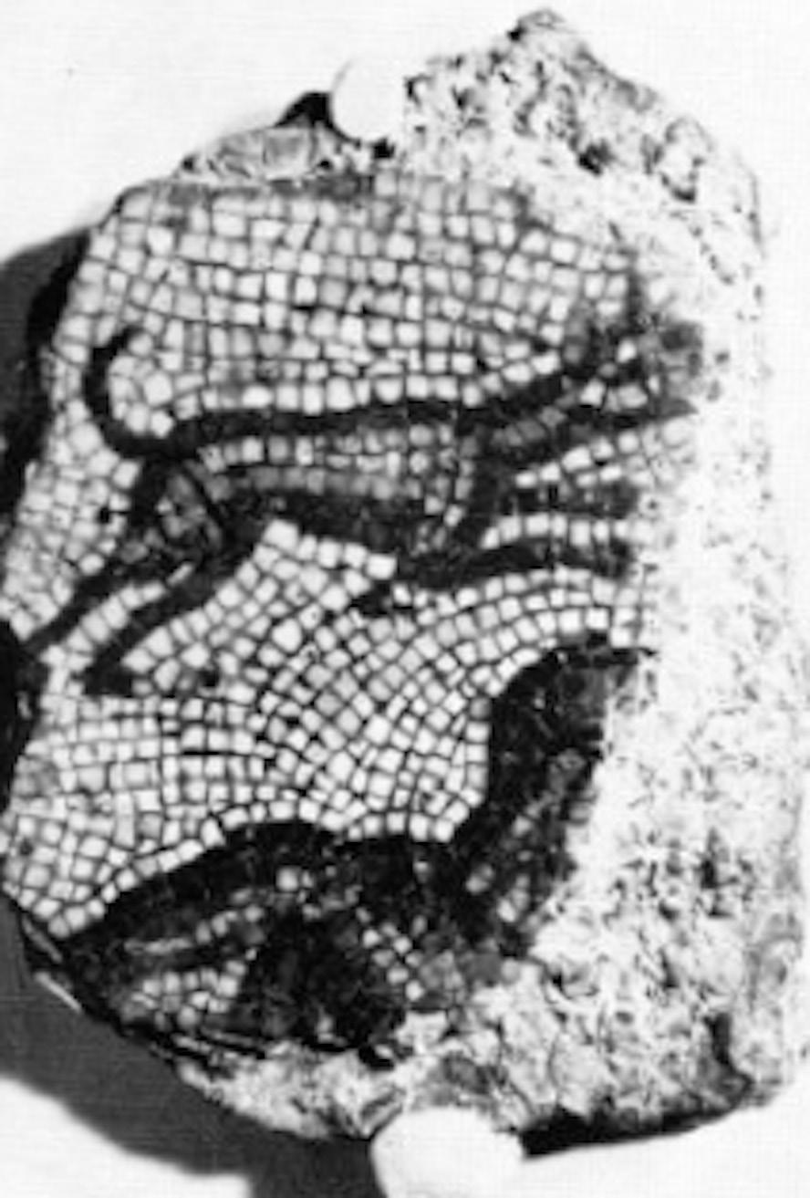 230 La cultura musiva di cagliari S. Angiolillo data questo mosaico a un III secolo inoltrato (Angiolillo, 1981, 103), poiché lo ritiene troppo carico di colori.