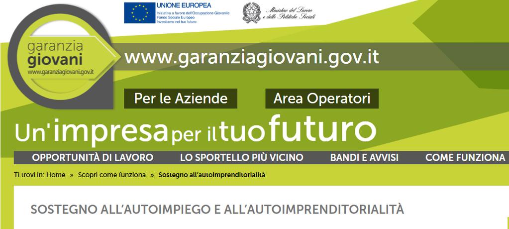 GARANZIA GIOVANI AUTOIMPIEGO NEET http://www.garanziagiovani.gov.