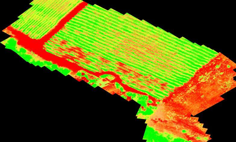 aereo di bassa quota per l Agricoltura di