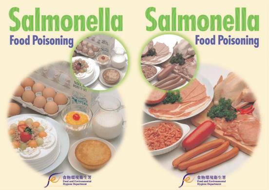 Salmonella tossinfezione Le salmonelle possono essere veicolate da numerosi alimenti, specialmente pollame, carni e loro derivati, prodotti a base di uova, latte crudo e latticini.