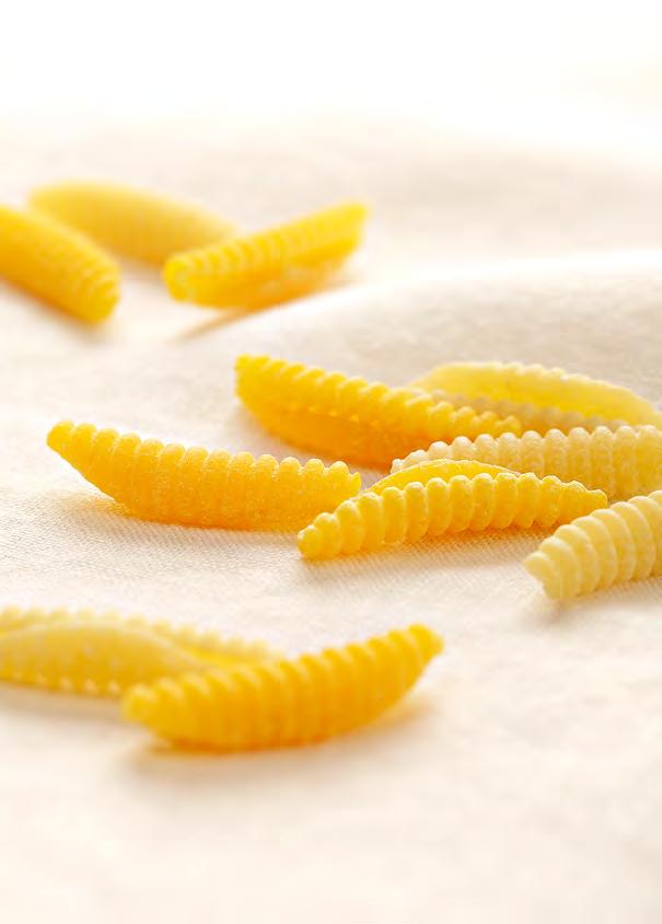 Ispirati dalla pasta fatta in casa secondo la più antica tradizione, la nostra pasta nasce esclusivamente da trafile in bronzo, metodo che consente di ottenere una pasta rugosa, bella da vedere e