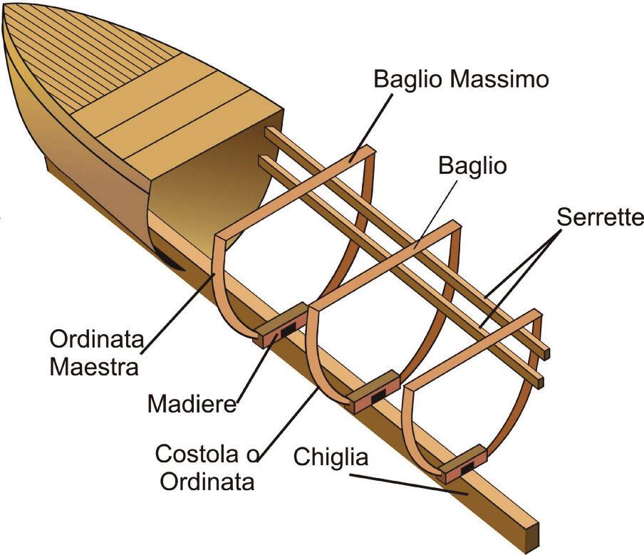 chiglia dell imbarcazione) e alle quali è fissato il fasciame esterno o laterale (involucro esterno impermeabile dello scafo).