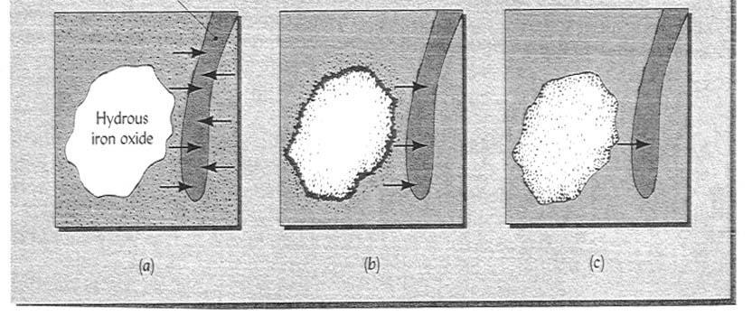 Forme inorganiche del P nel suolo Composti inorganici contenenti Ca Composti inorganici contenenti Fe, Al, Mn Apatiti Derivanti dalle