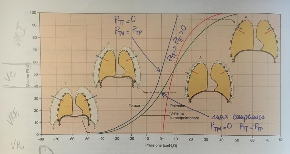 Diagramma