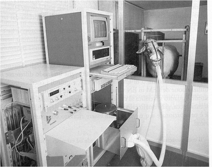 Calorimetria indiretta: metabolismo energetico Spirometria e spettrometria di massa: si determinano gli scambi respiratori (CH4, CO2, O2) dal punto di vista quanti-qualitativo per brevi periodi