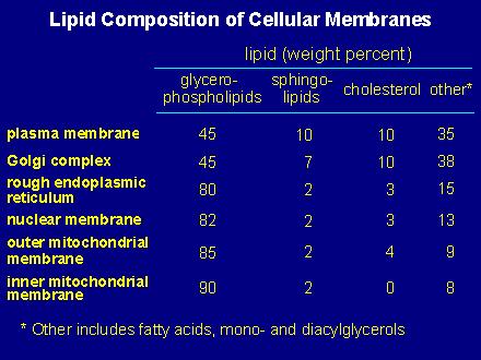 diversa funzione delle due faccie della membrana Differenti proporzioni di lipidi sono