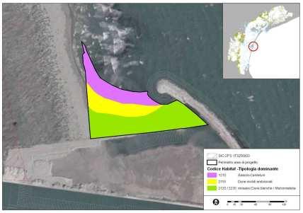 dell area con l adiacente complesso dunale naturale della spiaggia di Ca Roman attraverso la ricostituzione di tre