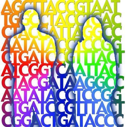 Alcune realtà: il next generation sequencing Le tecnologie di sequenziamento di nuova generazione (Next- Generation Sequencing) hanno migliorato l'efficienza del