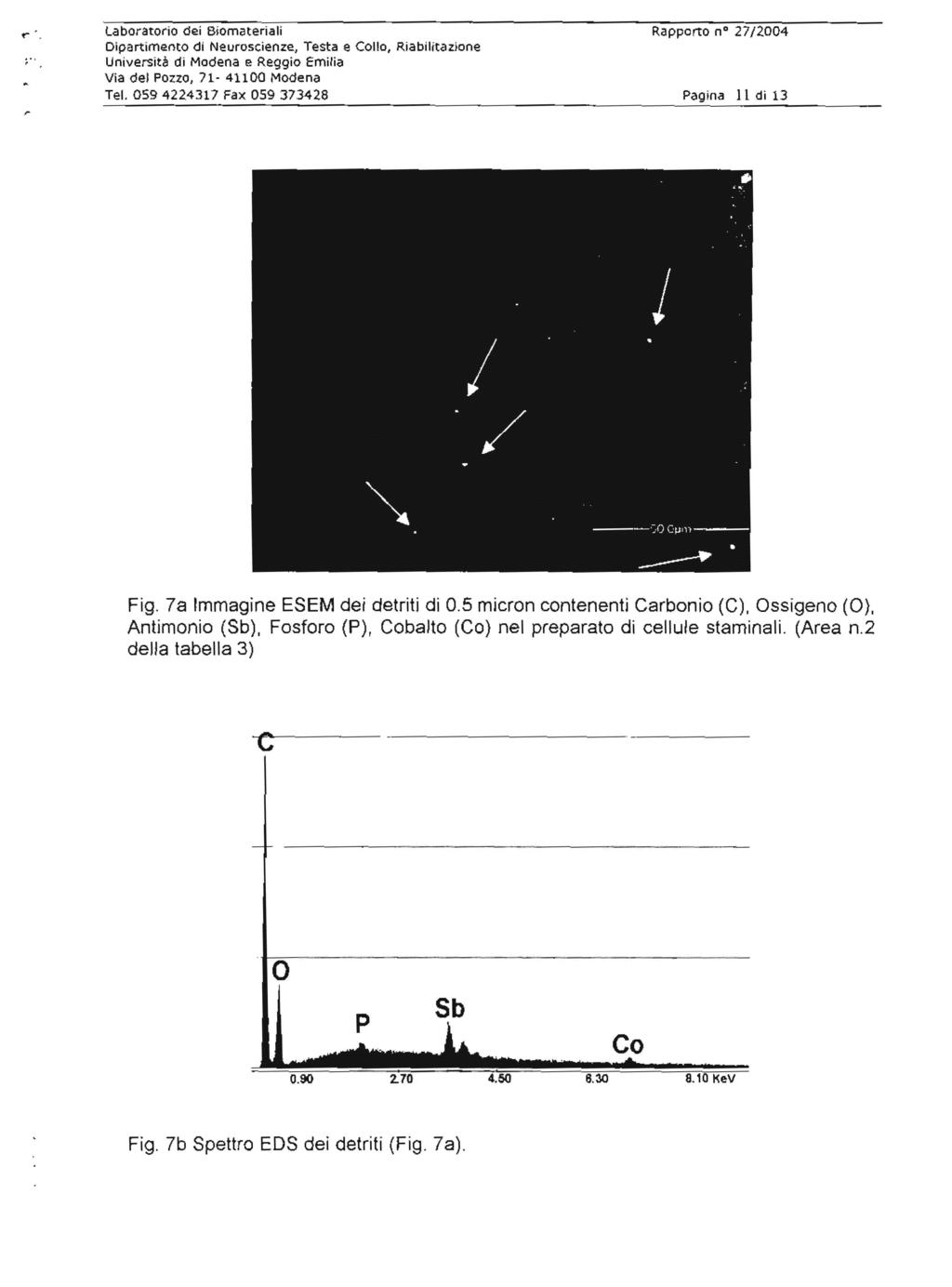 r. Laboratorio dei Biomateriali Rapporto no 27/2004 Dipartimento di Neuroscienze., Testa e Collo, Riabilitazione Te!. 059422.4317 Fax 059 373428 Pagina Il di 13 Fig. 7a Immagine ESEM dei detriti di 0.