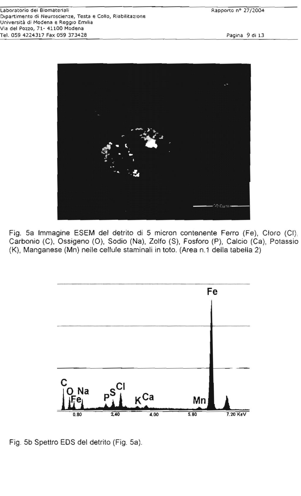 Laboratorio dei Biomateriali Rapporto no 27/2004 Dipartimento di Neuroscienze, Testa e Collo, RiabilitaZione Te!. 0594224317 Fax 059373428 Pagina 9 di 13 Fig.