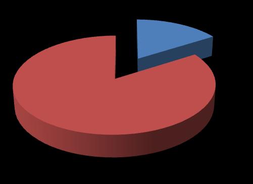 L indagine ha coinvolto un numero estremamente significativo di studenti stranieri dei corsi diurni del Giulio: 125 su un totale di 156 (80% del