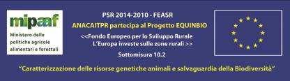 ASSOCIAZIONE NAZIONALE ALLEVATORI CAVALLO AGRICOLO ITALIANO DA TIRO PESANTE RAPIDO Riconosciuta giuridicamente con D.P.R. nr. 924 del 28.11.1974 Codice Fiscale 80021000239 P.