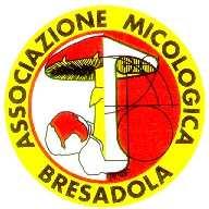 Gruppo di Bolzano Ortsgruppe Bozen Intossicazioni emergenti in campo micotossicologico