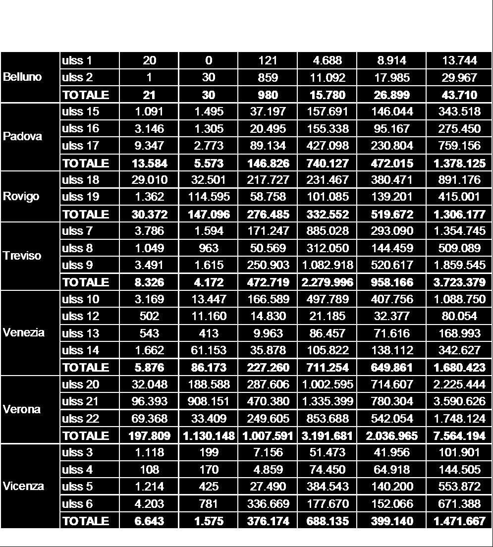 Si riportano i dati analitici riferiti all anno 2008 nella tabella seguente: (1) Tab. 6 a cui si aggiungono 131.