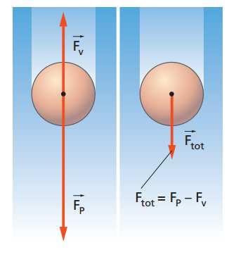 F T = F p F S F V A regime: F p F S F V =0 x F s mg ρfvg 6 πηrv=0 F T = F p F S F V v = mg ρ Vg F 6πηr = 2 ( ρ ρ ) S