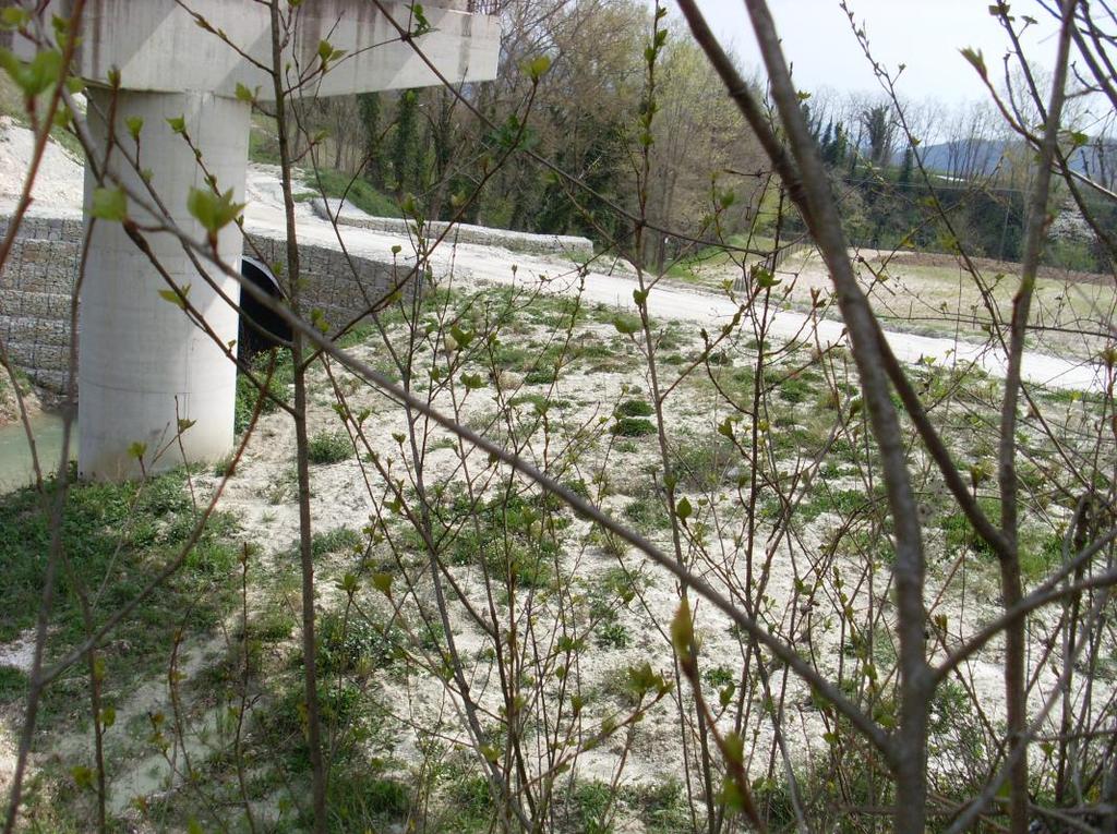 Micro Centrale Idroelettrica Loc. Ponte di Moscano, Fabriano (AN) Foto 4 Alveo del Fiume Giano, tratto a valle dove verrà realizzata la restituzione.