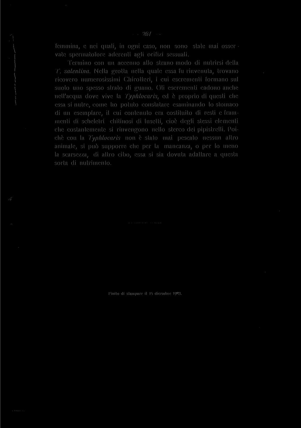 267 femmina, e nei quali, in ogni caso, non sono state mai osservate spermatofore aderenti agli orifizi sessuali. Termino con un accenno alio strano modo di nutrirsi della T. salentina.