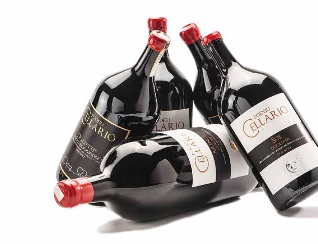 ELEGANTE CASSETTA IN LEGNO SINGOLA CON COMODA MANIGLIA IN CORDA* JEROBOAM 3 Lt Dogliani DOCG 2016 Cornole SOL, 13,5% Vol Codice CELL21 22,00 Piemonte DOC Barbera 2016 SABINOT, 14,5% Vol Codice CELL22